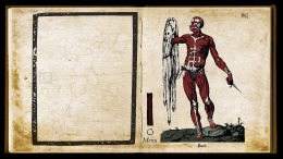 �������� Wound Man