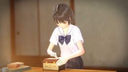 ������� ��� BLUE REFLECTION Quartet
