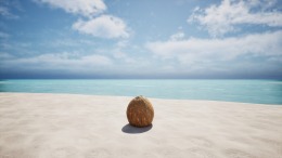 �������� ���� Coconut Simulator 2