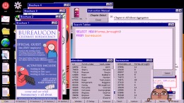 Database Detective: Minor Crimes Division �� ���������