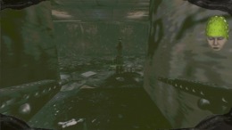 �������� Desolation Seed