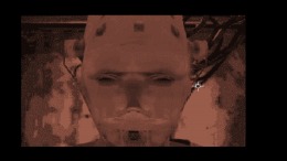 Desolation Seed �� PC