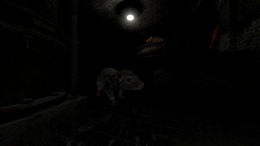 Scamper �����