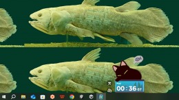 ������� With Me: Aquatic Time