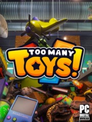 Too Many Toys!