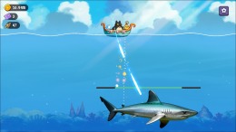 ����������� ���� Fish to Cats: Catch & Feed