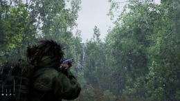 ������� ��� Forest Doesn�t Care