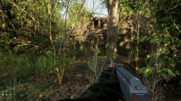 �������� ���� Forest Doesn�t Care