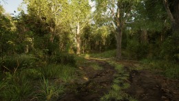 Forest Doesn�t Care �����