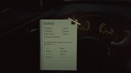 �������� Backseat