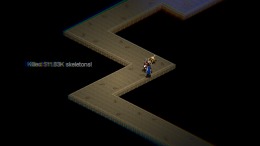 Bones and Coins �� PC