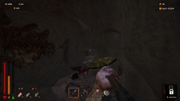 �������� ���� Dig For Riches