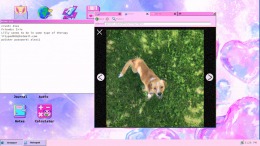 ������� lily's world XD