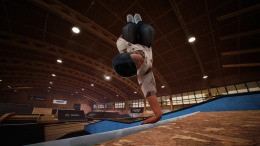 ����������� ���� Rollout Inline