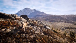 �������� Hunting Simulator 3