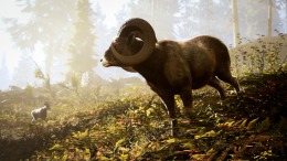������� Hunting Simulator 3