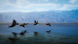 ����������� ���� Hunting Simulator 3