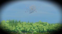 ������� Look to the Birds
