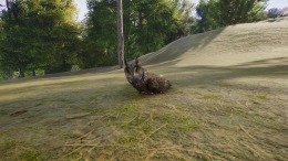 Planet Zoo 2 �� ���������