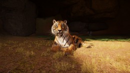������� Planet Zoo 2