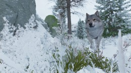 ������� ��� Planet Zoo 2