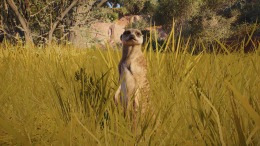 ������� Planet Zoo 2