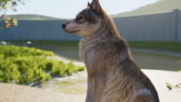 Planet Zoo 2 �� PC