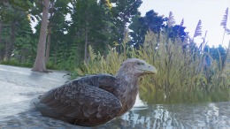 ����������� ���� Planet Zoo 2