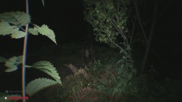 �������� ���� Sector 13: Haunted Woods