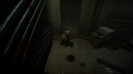 Welcome to Kowloon геймплей